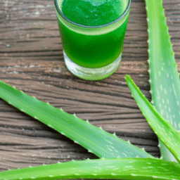 Wie man Aloe Vera für die Entgiftung verwendet